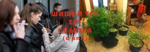 apvp Инсар
