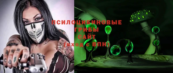 apvp Инсар