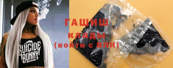 apvp Инсар