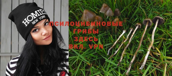 мяу мяу мука Инта