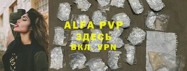 apvp Инсар