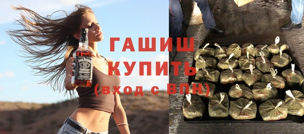 apvp Инсар