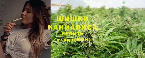 мяу мяу мука Инта