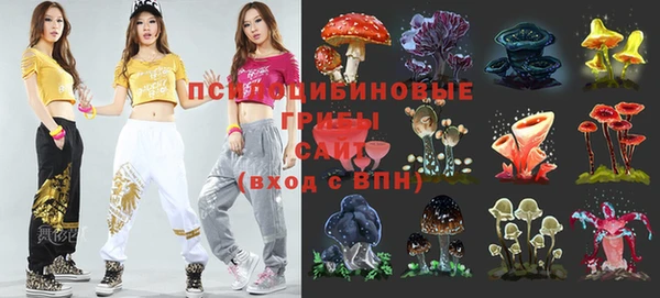 apvp Инсар