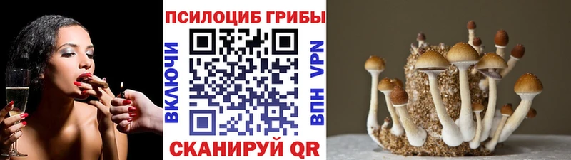 Псилоцибиновые грибы ЛСД  Купить  Жирновск 